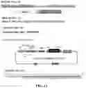 Fig. 09 - Stem loop RNA mediated transport of mitochondria genome editing molecules (endonucleases) into the mitochondria