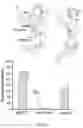 Fig. 02 - Regulation of gene expression via aptamer-mediated control of self-cleaving ribozymes