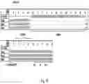 Fig. 13 - Regulation of gene expression via aptamer-mediated control of self-cleaving ribozymes