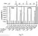 Fig. 14 - Regulation of gene expression via aptamer-mediated control of self-cleaving ribozymes