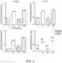 Fig. 03 - RAAV-based compositions and methods for treating amyotrophic lateral sclerosis