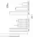 Fig. 05 - RAAV-based compositions and methods for treating amyotrophic lateral sclerosis