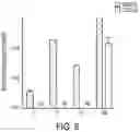 Fig. 09 - RAAV-based compositions and methods for treating amyotrophic lateral sclerosis