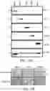 Fig. 11 - RAAV-based compositions and methods for treating amyotrophic lateral sclerosis