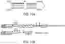 Fig. 12 - RAAV-based compositions and methods for treating amyotrophic lateral sclerosis