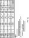 Fig. 17 - RAAV-based compositions and methods for treating amyotrophic lateral sclerosis