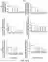 Fig. 19 - RAAV-based compositions and methods for treating amyotrophic lateral sclerosis