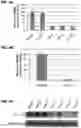 Fig. 05 - Methods for treating Alzheimer's disease