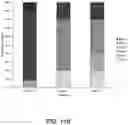 Fig. 15 - Methods for treating Alzheimer's disease