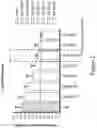 Fig. 03 - COMPLEMENT COMPONENT C5 IRNA COMPOSITIONS AND METHODS OF USE THEREOF
