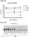 Fig. 06 - COMPLEMENT COMPONENT C5 IRNA COMPOSITIONS AND METHODS OF USE THEREOF