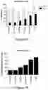 Fig. 08 - COMPLEMENT COMPONENT C5 IRNA COMPOSITIONS AND METHODS OF USE THEREOF
