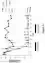 Fig. 13 - COMPLEMENT COMPONENT C5 IRNA COMPOSITIONS AND METHODS OF USE THEREOF