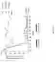 Fig. 13 - Complement component C5 iRNA compositions and methods of use thereof