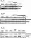 Fig. 03 - Compositions and methods for modulation of IKBKAP splicing
