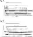 Fig. 07 - Compositions and methods for modulation of IKBKAP splicing