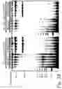 Fig. 08 - Methods and compositions for controlling efficacy of RNA silencing