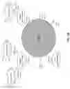 Fig. 03 - Oligonucleotide Probes and Uses Thereof