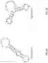 Fig. 04 - Oligonucleotide Probes and Uses Thereof