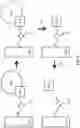 Fig. 06 - Oligonucleotide Probes and Uses Thereof