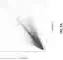 Fig. 07 - Oligonucleotide Probes and Uses Thereof