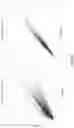 Fig. 09 - Oligonucleotide Probes and Uses Thereof