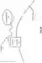 Fig. 19 - Oligonucleotide Probes and Uses Thereof