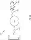 Fig. 20 - Oligonucleotide Probes and Uses Thereof