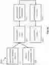 Fig. 22 - Oligonucleotide Probes and Uses Thereof