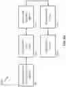 Fig. 23 - Oligonucleotide Probes and Uses Thereof