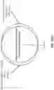Fig. 27 - Oligonucleotide Probes and Uses Thereof