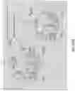 Fig. 30 - Oligonucleotide Probes and Uses Thereof