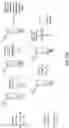 Fig. 35 - Oligonucleotide Probes and Uses Thereof