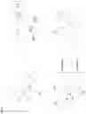 Fig. 05 - Compositions for Selection of Aptamers