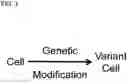 Fig. 02 - GENETICALLY MODIFIED CELL LINES FOR METABOLIC STUDIES