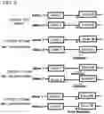 Fig. 04 - GENETICALLY MODIFIED CELL LINES FOR METABOLIC STUDIES