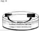 Fig. 12 - GENETICALLY MODIFIED CELL LINES FOR METABOLIC STUDIES
