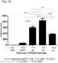 Fig. 15 - GENETICALLY MODIFIED CELL LINES FOR METABOLIC STUDIES