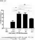 Fig. 16 - GENETICALLY MODIFIED CELL LINES FOR METABOLIC STUDIES
