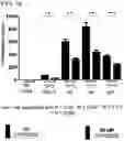 Fig. 20 - GENETICALLY MODIFIED CELL LINES FOR METABOLIC STUDIES