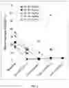 Fig. 03 - Combination therapy with liposomal antisense oligonucleotides