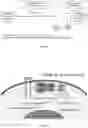 Fig. 04 - Combination therapy with liposomal antisense oligonucleotides