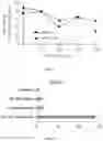 Fig. 08 - Combination therapy with liposomal antisense oligonucleotides
