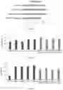 Fig. 10 - Combination therapy with liposomal antisense oligonucleotides