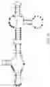Fig. 11 - Gold optimized CAR T-cells