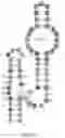 Fig. 14 - Gold optimized CAR T-cells