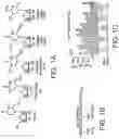 Fig. 02 - POLYNUCLEOTIDE SECONDARY STRUCTURE