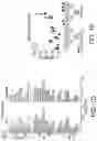 Fig. 03 - POLYNUCLEOTIDE SECONDARY STRUCTURE