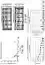 Fig. 04 - POLYNUCLEOTIDE SECONDARY STRUCTURE
