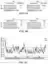 Fig. 06 - POLYNUCLEOTIDE SECONDARY STRUCTURE